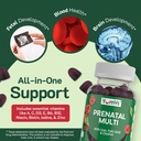 yumvs-prenatal-gummies-for-women---prena-5.jpg