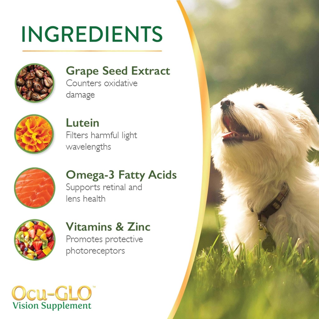 ocu-glo-vision-supplement-for-medium-to--4.jpg