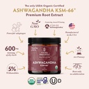 recovery-trio-120-ksm-66-ashwagandha-tur-3.jpg