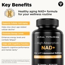vital-vitamins-nad-30-ct-hyaluronic-acid-6.jpg