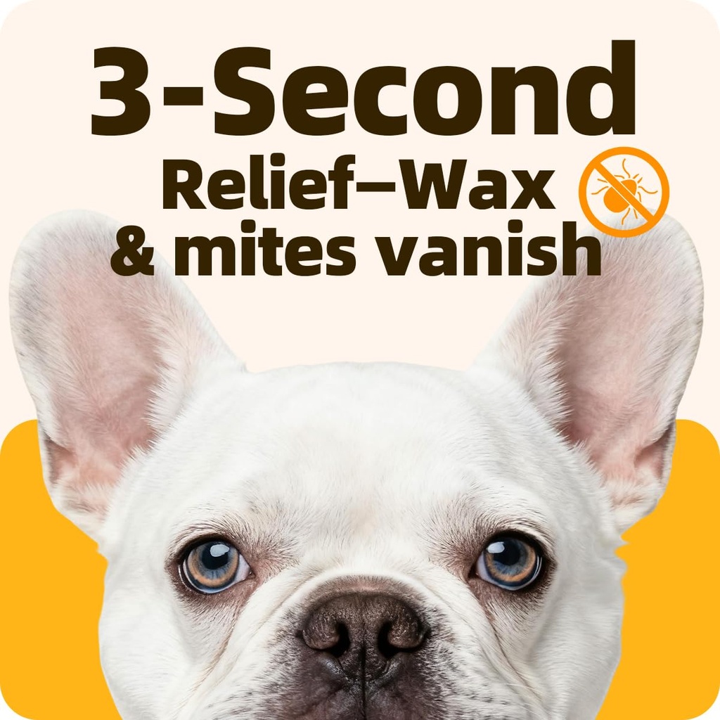 ear-drops-for-ear-infection-treatment-ea-2.jpg