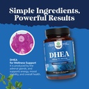 bundle-of-dhea-supplement-dehydroepiandr-6.jpg
