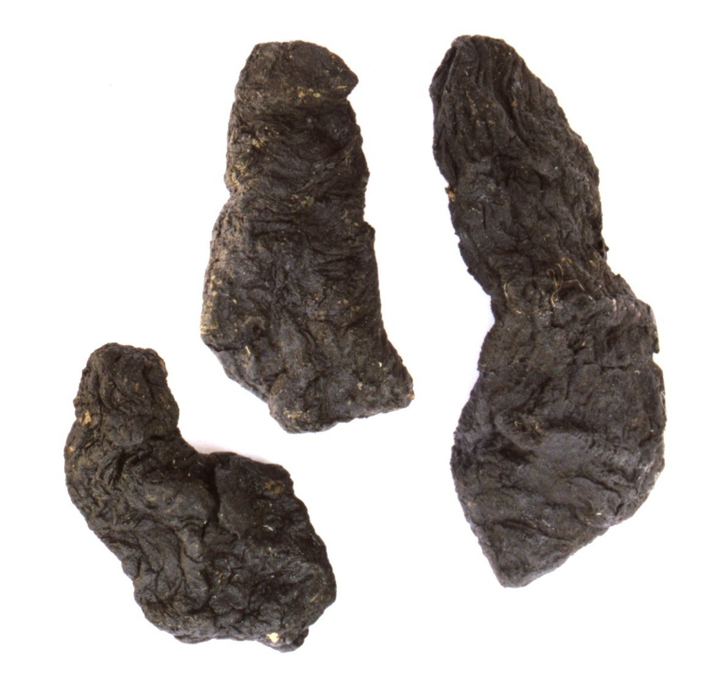 dragon-herbs-rehmannia-six-combination-5-3.jpg