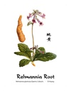 dragon-herbs-rehmannia-six-combination-5-5.jpg