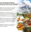 bee-and-you-royal-jelly-propolis-bee-pol-4.jpg