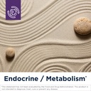 designs-for-health-adrenal-complex-240-c-2.jpg