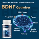 nootropic-brain-supplement-for-memory-an-4.jpg