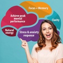 brain-supplement-brain-booster-supplemen-5.jpg