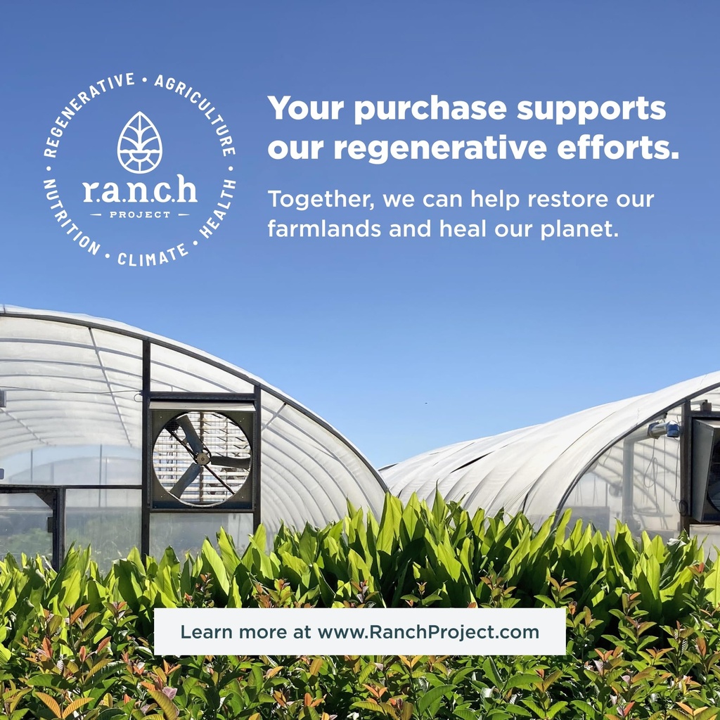 ancient-nutrition-unflavored-collagen-pe-2.jpg