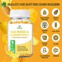 sea-moss-gummies-for-adults-and-kids-200-4.jpg