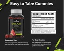 shilajit-gummies-pure-himalayan-shilajit-5.jpg