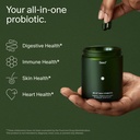 seed-ds-01-daily-synbiotic-am-02-energy--2.jpg