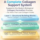 collagenesis-complete-collagen-support-s-5.jpg