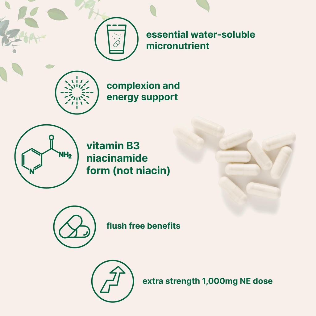 vitamin-b3-niacinamide-500mg-per-capsule-4.jpg