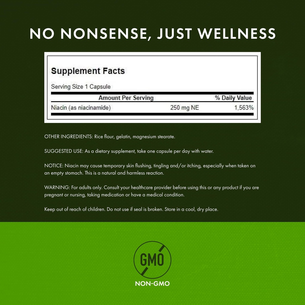 swanson-niacinamide-vitamin-b3-supplemen-3.jpg