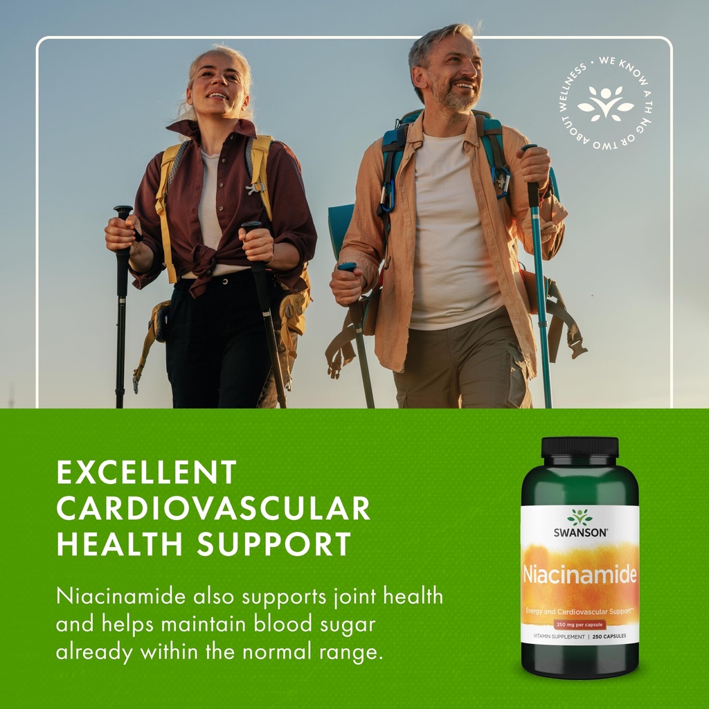 swanson-niacinamide-vitamin-b3-supplemen-6.jpg