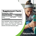 naturesplus-niacinamide-500-mg-90-tablet-5.jpg