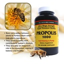 y-s-organic-bee-farms-propolis-raw-unpro-2.jpg