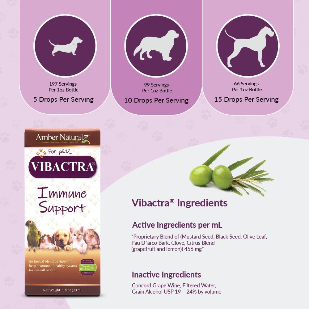 amber-naturalz-vibactra-immune-support-h-4.jpg
