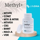 lifedna-methyl-methylfolate---methylated-4.jpg