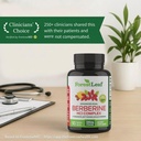 forestleaf-berberine-supplement-1300mg-p-4.jpg