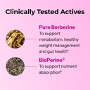 hum-best-of-berberine-supplement-1200mg--4.jpg