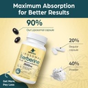 liposomal-berberine-berberine-supplement-6.jpg