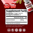 berberine-supplement-1800mg-premium-berb-2.jpg