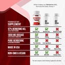 berberine-supplement-1800mg-premium-berb-5.jpg