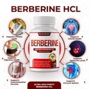 berberine-supplement-1800mg-premium-berb-3.jpg