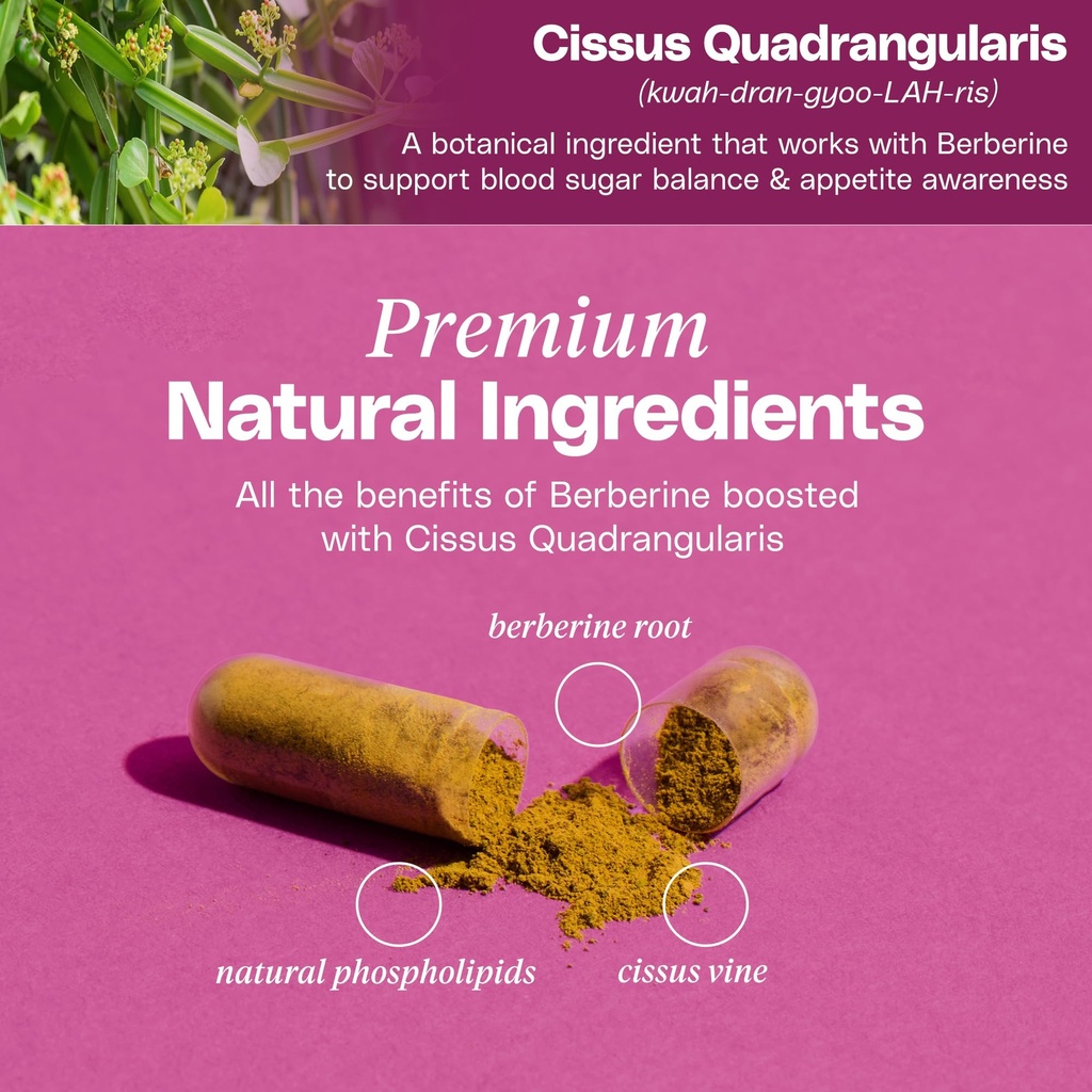 premium-berberine-supplement-body-compos-6.jpg