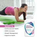 konefancy-berberine-hcl-supplement-1500m-5.jpg