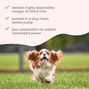 bark-whiskers-krill-oil-liquid-pump-omeg-4.jpg
