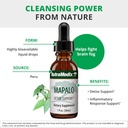 nutramedix-mapalo-herbal-extract---cogni-4.jpg