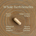 new-chapter-organic-ashwagandha-suppleme-3.jpg