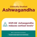 nature-made-ashwagandha-ksm-66-reishi-mu-3.jpg