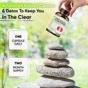 nutrapro-kidney-cleanse-detox-repair-and-5.jpg