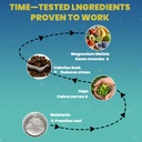 sleep-patch-plant-based-vegan-support-fo-5.jpg