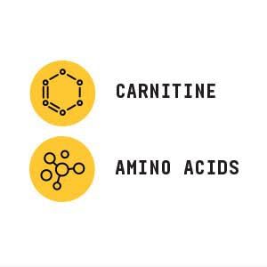 beyond-raw-chemistry-labs-l-carnitine-po-5.jpg