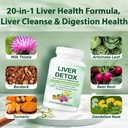 liver-cleanse-digestion-aid-health-4.jpg