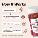 beet-root-gummies-blood-pressure-cardiov-5.jpg