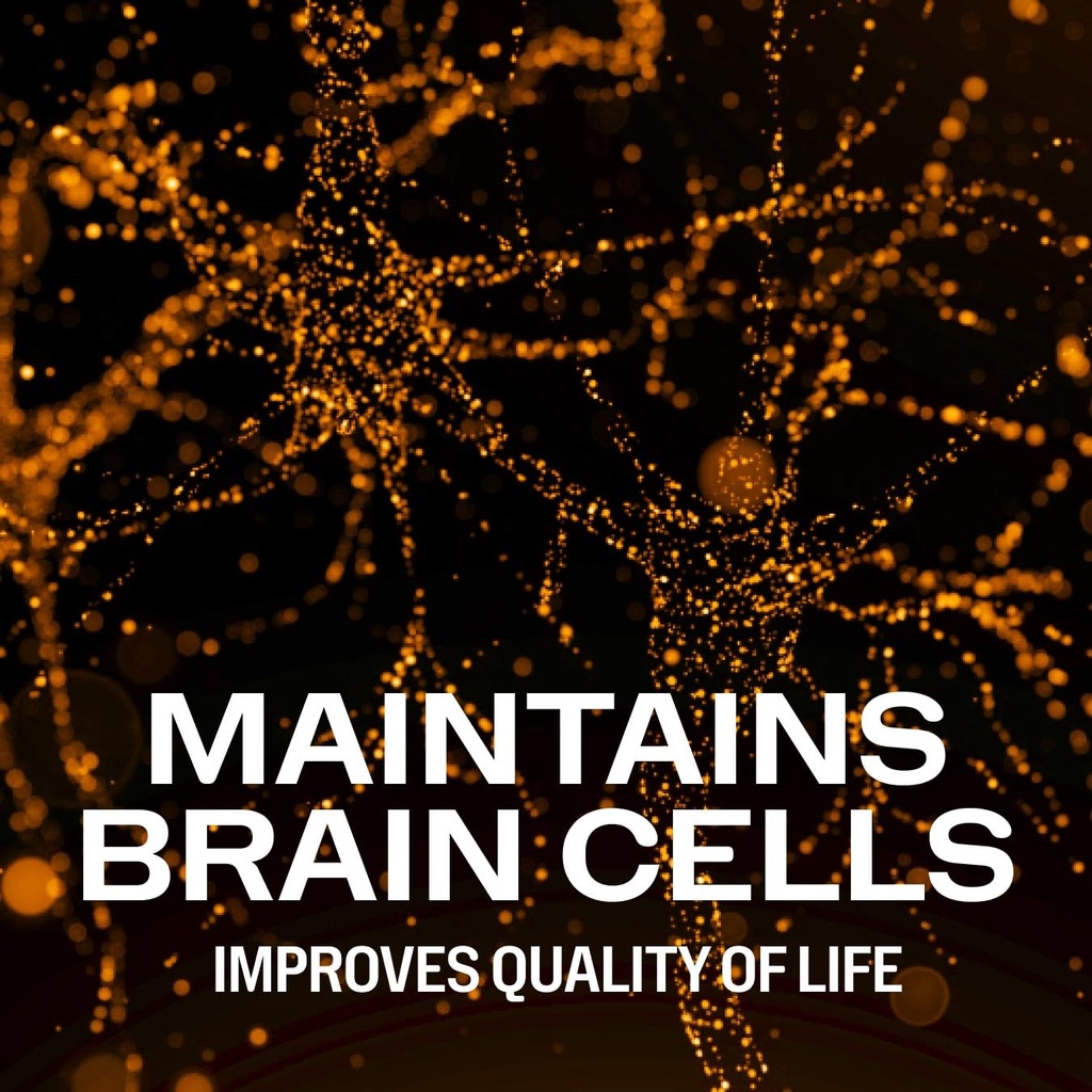 vimergy-brain-body-memory-powers-5-memor-4.jpg