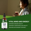 vimergy-olive-leaf-supports-immune-healt-3.jpg