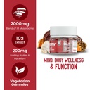 troomy-daily-14-mushroom-blend-gummies-g-2.jpg