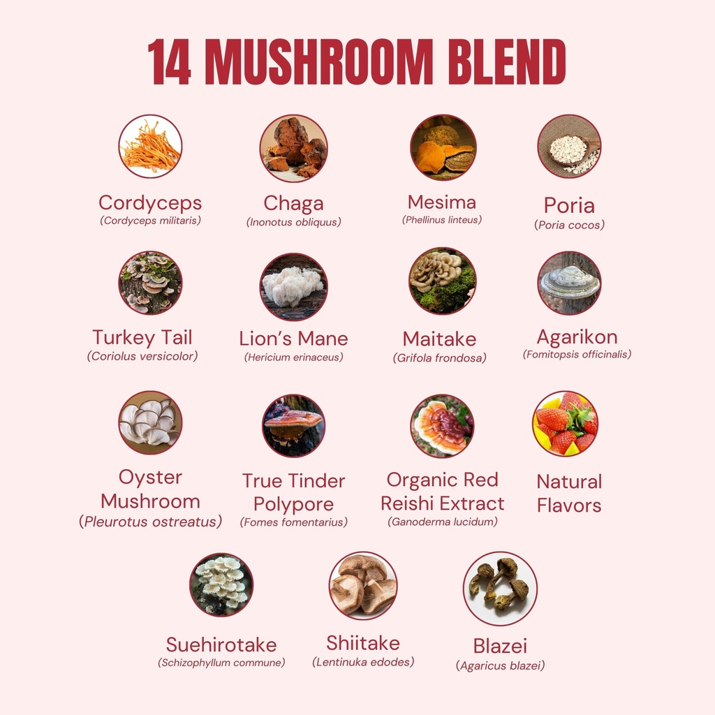 troomy-daily-14-mushroom-blend-gummies-g-6.jpg