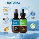 zeolite-detox-pack-gut-health-for-adults-3.jpg