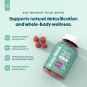 stay-well-naturals-natural-zeolite-heavy-3.jpg
