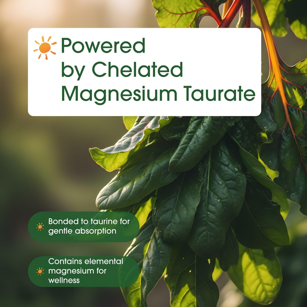 naturebell-magnesium-taurate-240-capsule-6.jpg