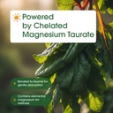 naturebell-magnesium-taurate-240-capsule-6.jpg