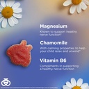 zarbee-s-kids-calm-gummies-with-magnesiu-2.jpg